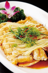 丝豆腐蒸鲨鱼