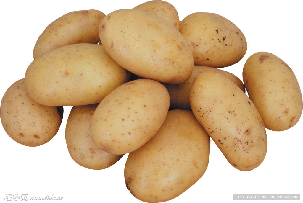土豆