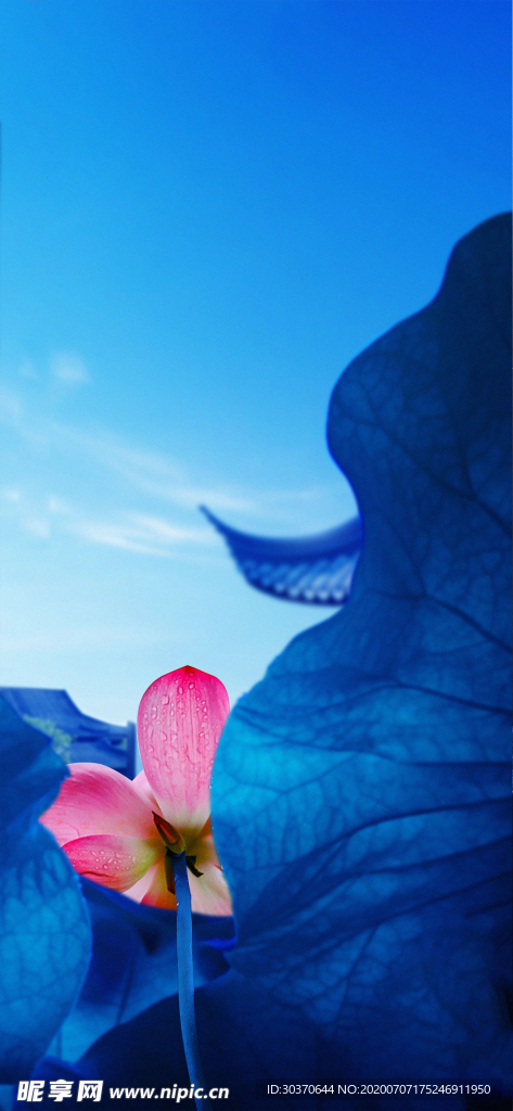 小暑 大暑 夏至 处暑 节气