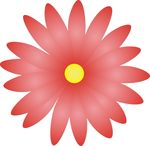 花朵