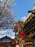 丽江古城 街道