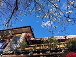 云南 丽江 街景