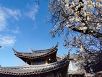 大理