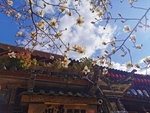 丽江 屋檐