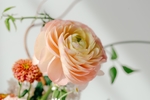 花卉