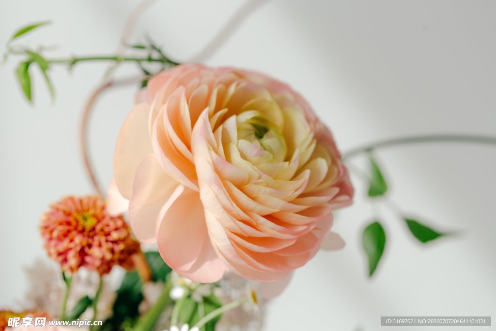 花卉