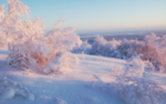 冰天雪地