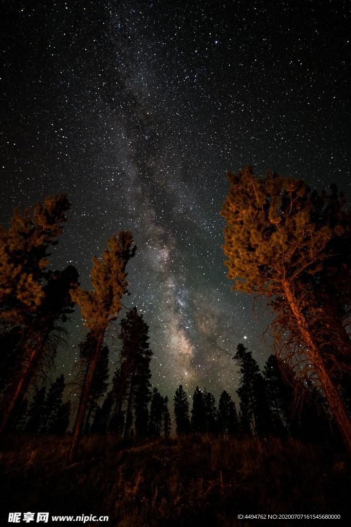 林间星空