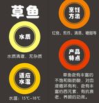 草鱼简介