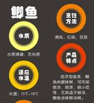 鲫鱼简介