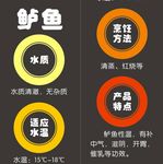 鲈鱼简介