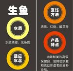 生鱼简介