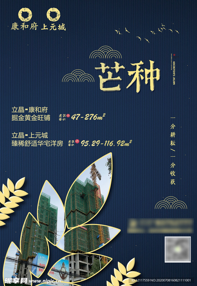 芒种节气海报