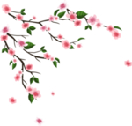 樱树免抠元素