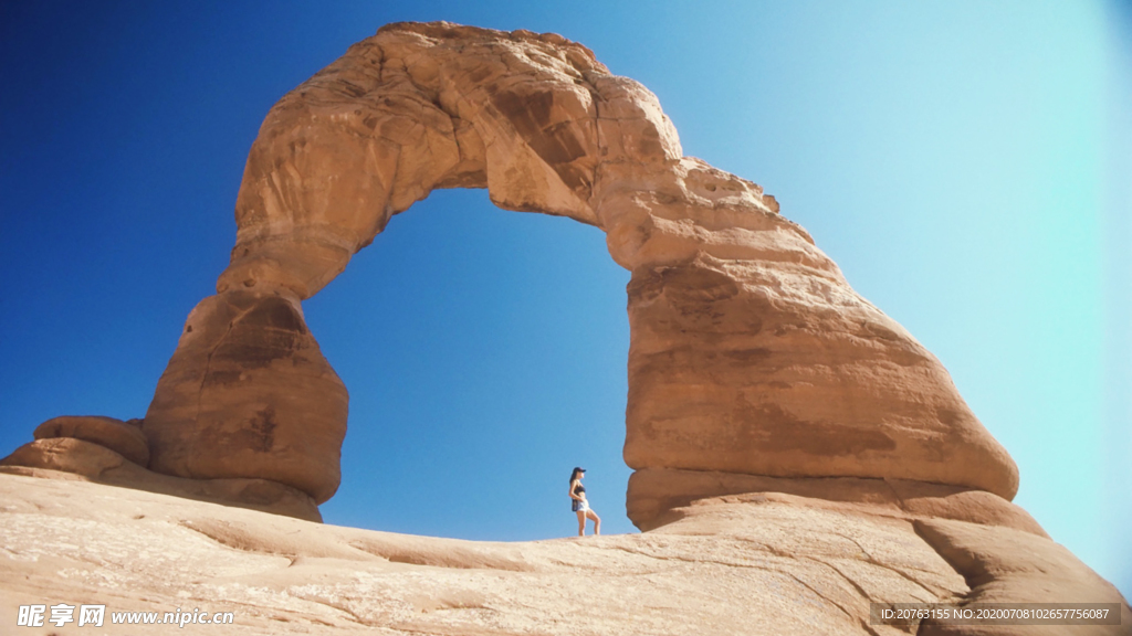 海报背景 展板背景 海报元素