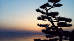 海报背景 展板背景 海报元素