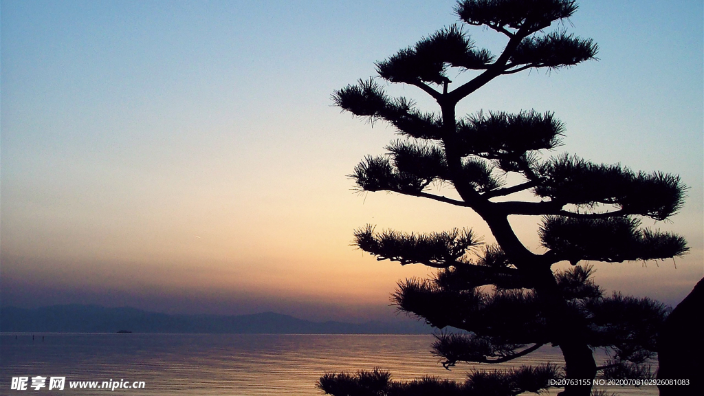 海报背景 展板背景 海报元素