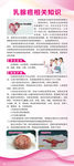 乳腺癌相关知识
