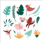 花手绘