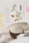 大米海报