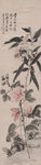 花鸟