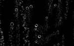 水泡