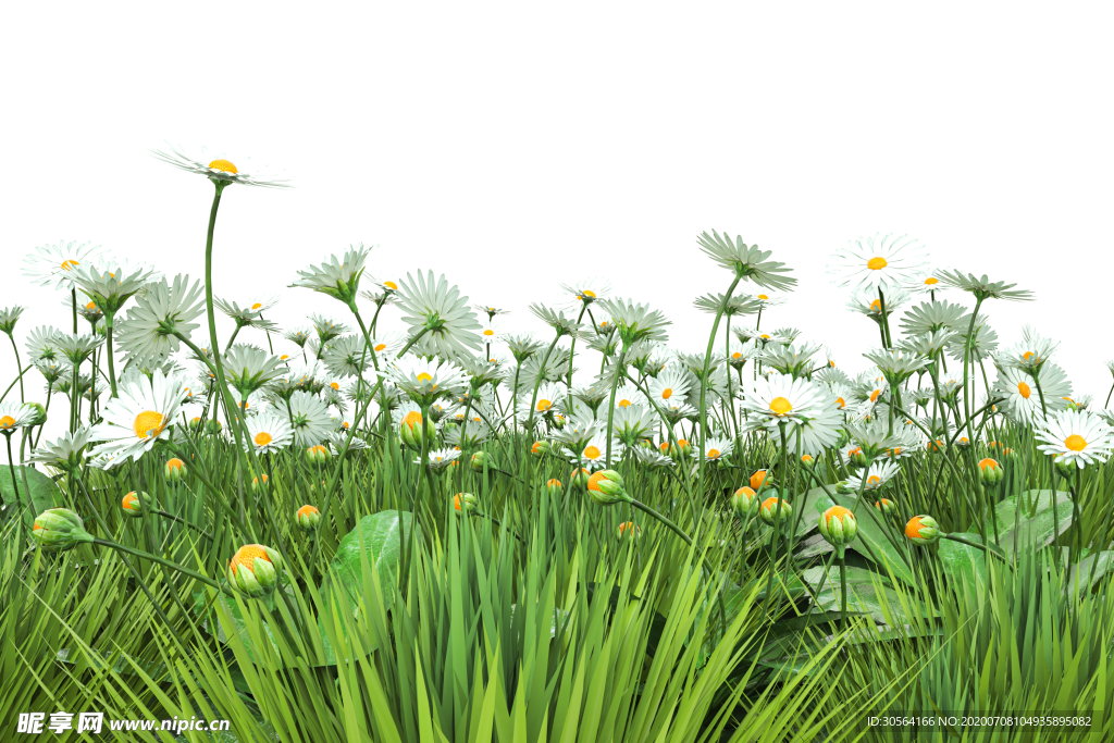 小草野花绿色春季海报素材