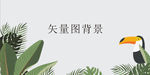 网红背景