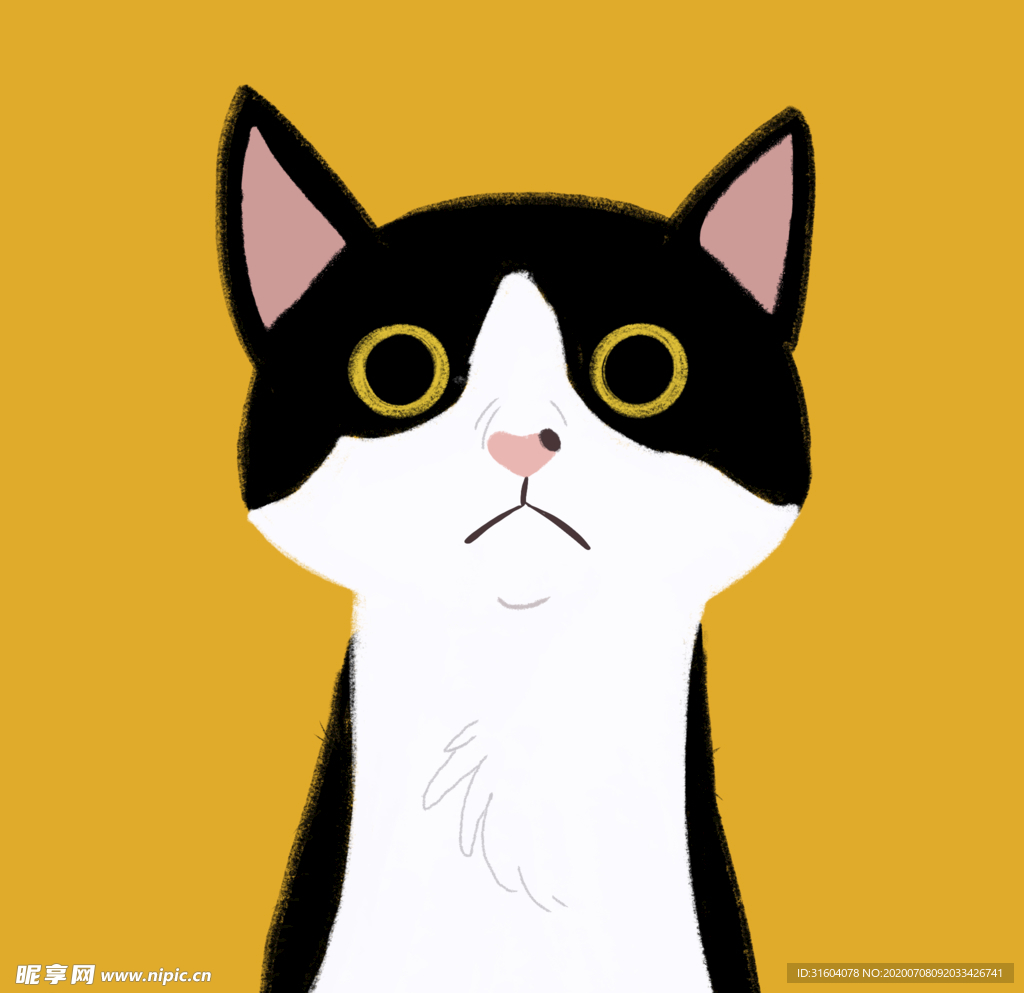 猫插画