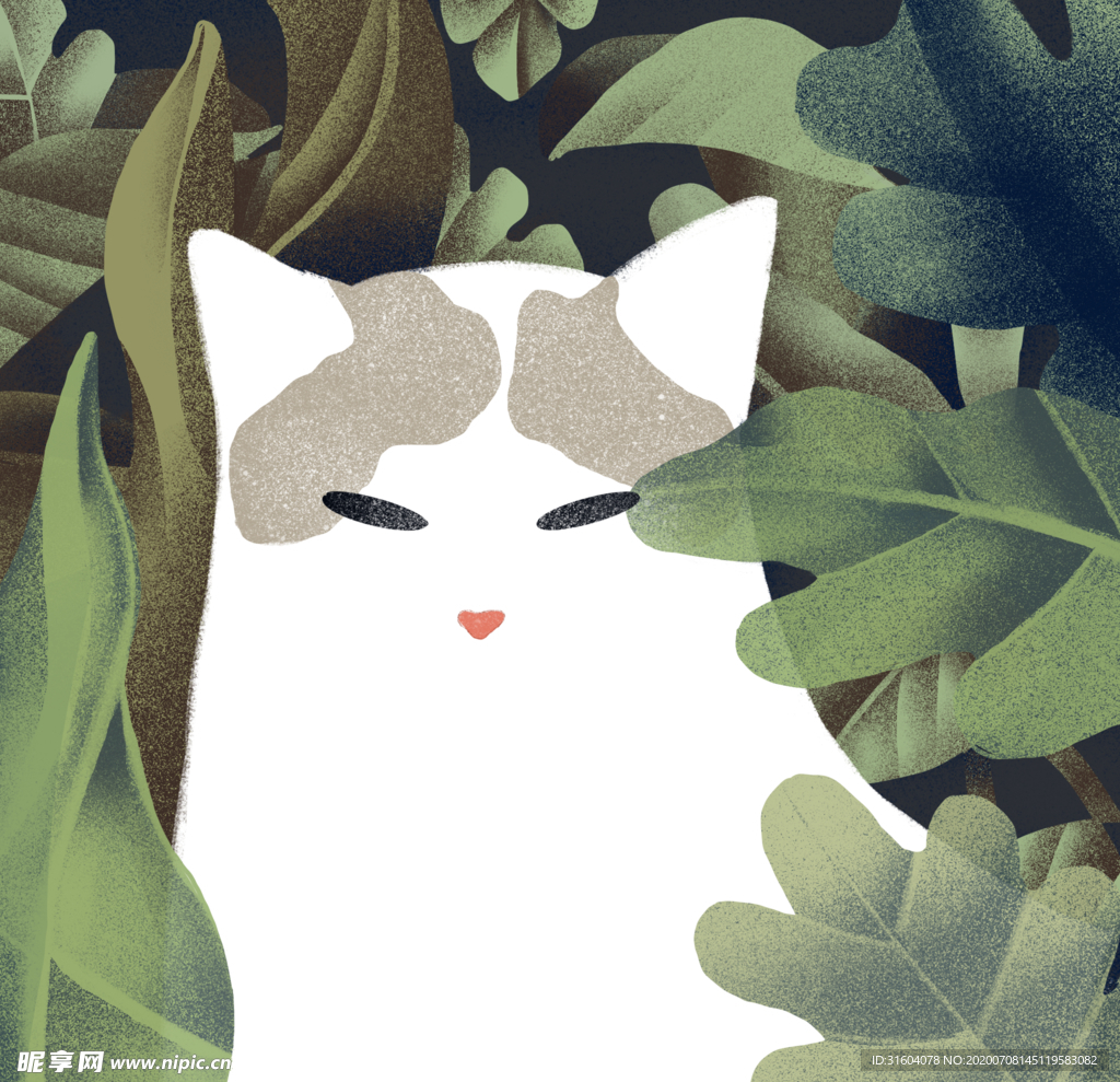 白猫插画