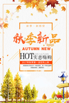 秋季新品