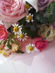 小雏菊