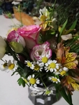 小雏菊