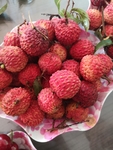 荔枝