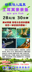 亲亲鱼展架温泉展架