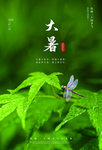 大暑