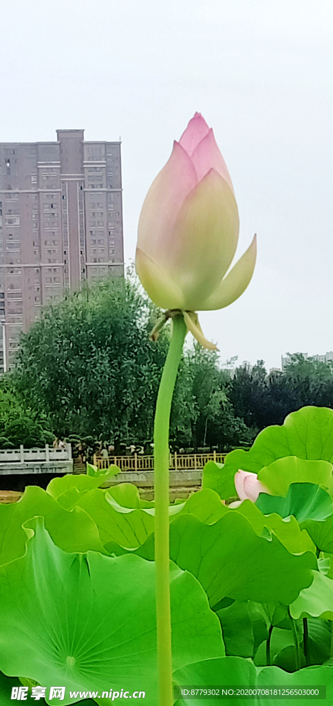 荷包