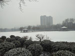 泰安东湖公园