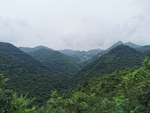 山