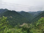 山