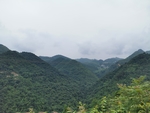 山