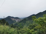 酒厂