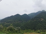 大山