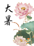 大暑素材 大暑海报 大暑西瓜