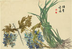 花卉12开
