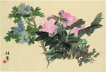 花卉十二开
