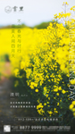 清明节刷屏