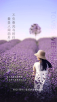 清明节气刷屏