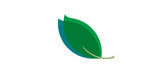 环保叶子LOGO