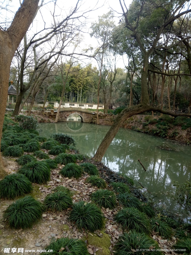 园林风景